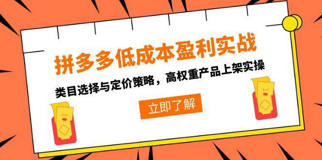 拼多多低成本盈利实战，类目选择与定价策略，高权重产品上架实操-星舰联盟