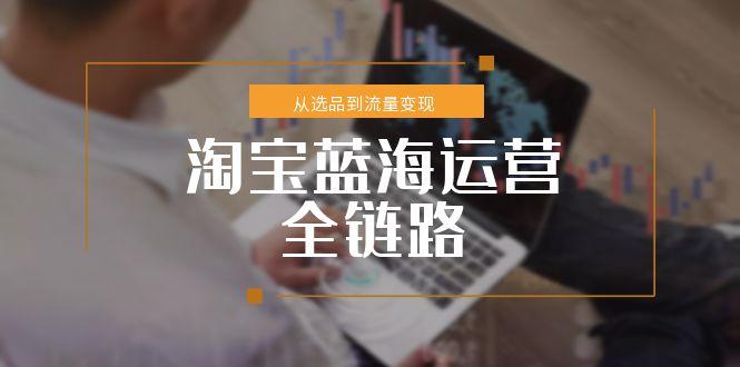 淘宝蓝海运营全链路，从选品到流量变现，小类目突围完整方案-星舰联盟