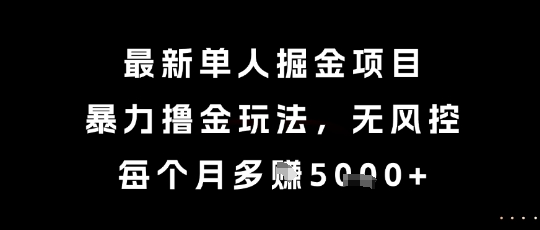 最新单人掘金项目，暴力撸金玩法，无风控，每个月多挣5k+-星舰联盟