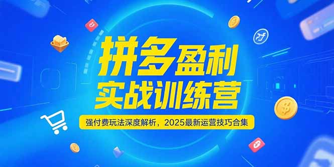 拼多多盈利实战训练营，强付费玩法深度解析，2025运营技巧合集-更新6月-星舰联盟