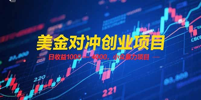 美金对冲创业项目，日收益 1000 – 4000，小众暴力项目-轻创终点站