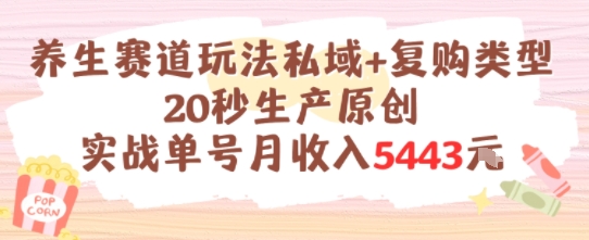 养生赛道玩法私域+复购类型，20秒生产原创实战单号月收入5k+-星舰联盟