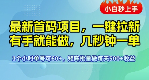 最新首码项目，一键拉新有手就能做，几秒钟一单，1个小时单号可60+，矩阵批量做每天5张-青年云网创—高质量项目商城