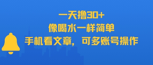 一天撸30+，像喝水一样简单，手机看文章，可多账号操作-小飞项目网