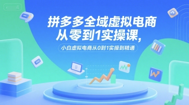 拼多多全域虚拟电商从零到1实操课，小白虚拟电商从0到1实操到精通-星舰联盟