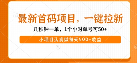 最新首码项目，操作最简单，收益高，一键拉新，1个小时单号可50+，小项目认真做每天5张+收益-星舰联盟