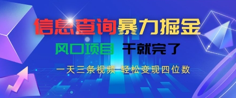 信息查询暴力掘金，一天三条视频，轻松变现四位数，风口项目干就完了-小飞项目网