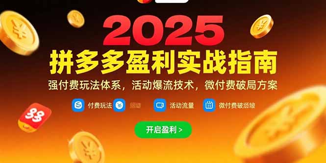 拼多多盈利实战指南，强付费玩法，活动爆流技术，微付费破局方案(更新7月)-网创星球