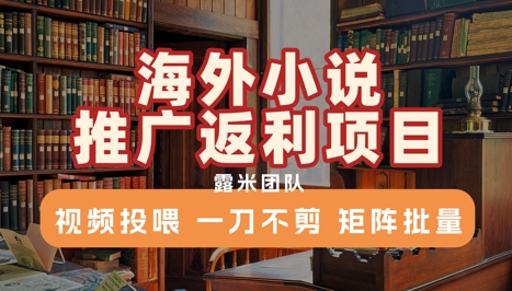 海外小说推广返利项目，视频投喂， 一刀不剪，矩阵批量-网创星球