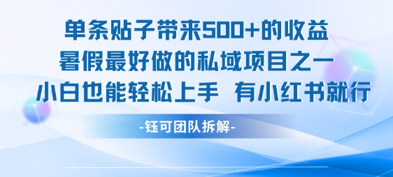 单条贴子带来5张的收益，暑假最好做的私域项目之一，小白也能轻松上手，有小红书就行-青年云网创—高质量项目商城