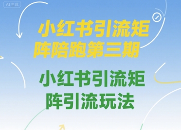 小红书引流矩阵陪跑第三期，小红书引流矩阵引流玩法-青年云网创—高质量项目商城