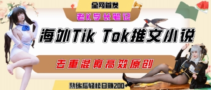 海外tiktok小说推文暴力项目，高停留率，高转化率，上手后一天搞顿饭钱不是问题-轻创终点站