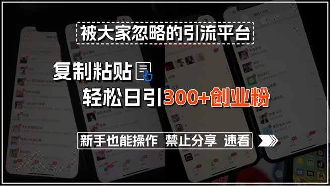 被大家忽略的引流平台，复制粘贴轻松日引300+创业粉，新手也能操作，禁…-轻创终点站