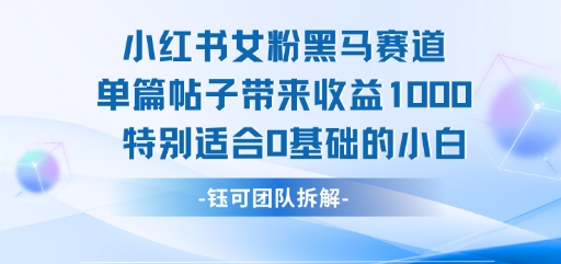 小红书女粉黑马赛道单篇帖子带来收益1k+，特别适合0基础的小白-网创星球
