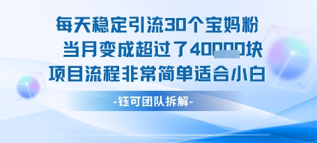每天稳定引流30个人 当月变成超过了4个W项目流程非常简单适合小白-小熊猫站长