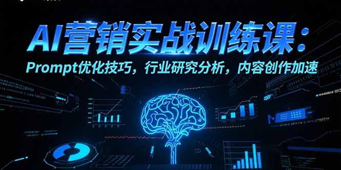 AI营销实战训练课：Prompt优化技巧，行业研究分析，内容创作加速-网创星球