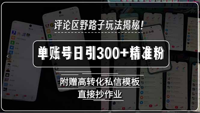 评论区野路子玩法揭秘！单账号日引300+精准粉，附赠高转化私信模板，直…-网创星球