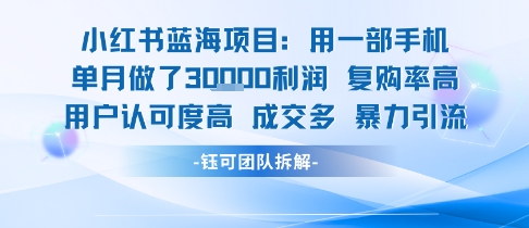 小红书蓝海项目，一部手机单月做了3W利润，小白也能月入过1W用户认可度高成交多-网创星球