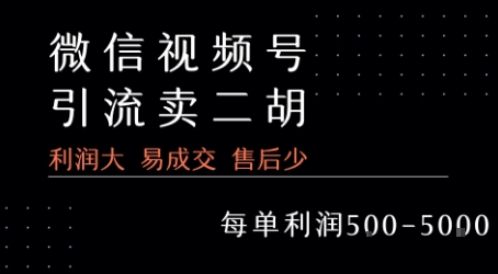视频号卖二胡教程，利润大 易成交 售后少，一单利润5张+-飞叔云网创
