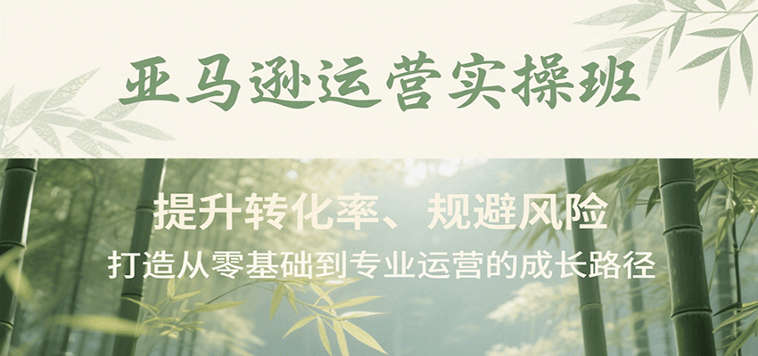 亚马逊运营实操班，提升转化率、规避风险，打造从零基础到专业运营的成长路径-轻创终点站