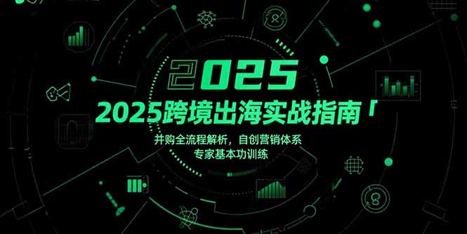 2025跨境出海实战指南，并购全流程解析，自创营销体系，专家基本功训练-轻创终点站