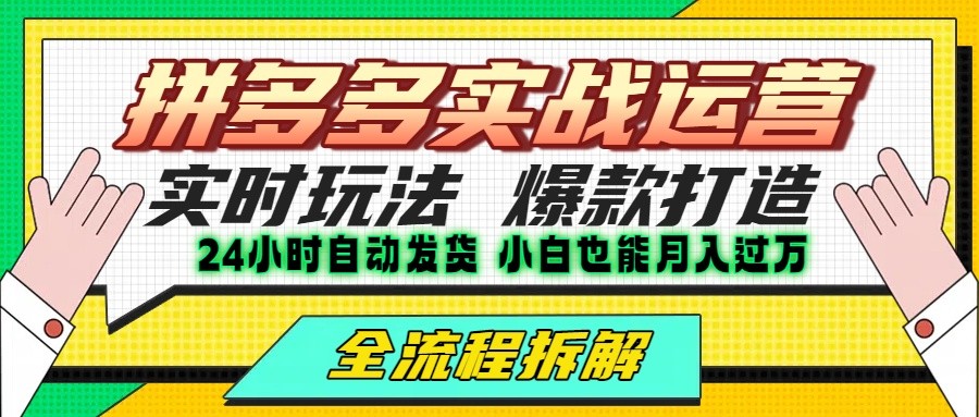 拼多多最新实战运营高投产：长久稳定项目，单店利润一天三位数-小熊猫站长