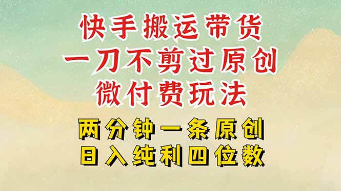 快手黑科技搬运带货，一刀不剪过原创，微付费投流玩法，轻松日入四位数…-飞叔云网创