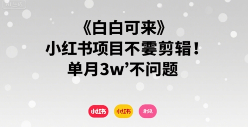 小白可来 小红书项目不需要剪辑 单月3w不是问题-青年云网创—高质量项目商城