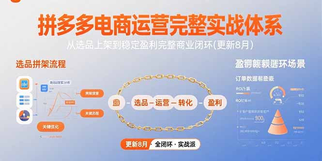 拼多多电商运营完整实战体系，从选品上架到稳定盈利完整商业闭环(更新8月)-青年云网创—高质量项目商城