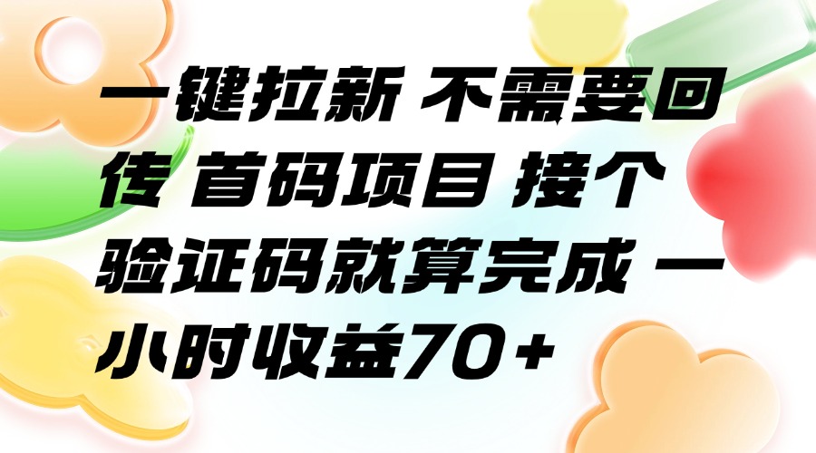 一键拉新 不需要回传 首码项目 接个验证码就算完成 一小时收益70+-青年云网创—高质量项目商城