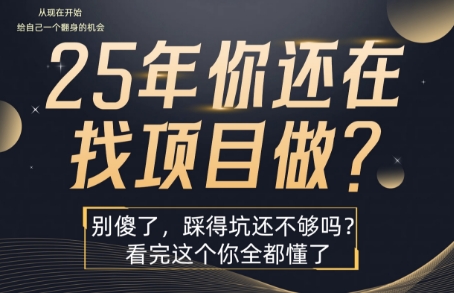 25年，你还在疯狂的找项目吗？别傻了，看完这个你都懂了-華夏云创