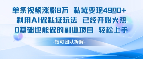 单条视频私域变现4.9k+利用AI做私域玩法 已经开始火热0基础也能做的副业项目轻松上手-華夏云创