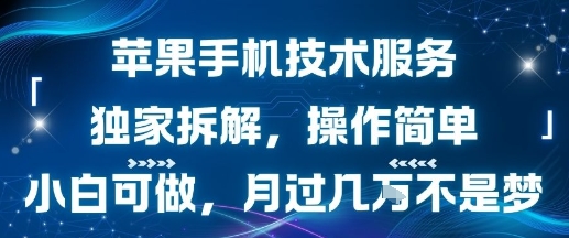 苹果手机技术服务，独家拆解，操作简单，小白可做，月过1W不是梦-财富区