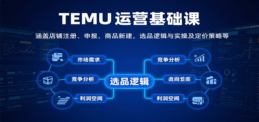 TEMU运营基础课：涵盖店铺注册、申报、商品新建，选品逻辑与实操及定价策略等-華夏云创