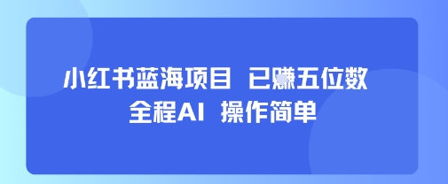 小红书蓝海项目，全程AI，操作简单，已挣五位数-青年云网创—高质量项目商城