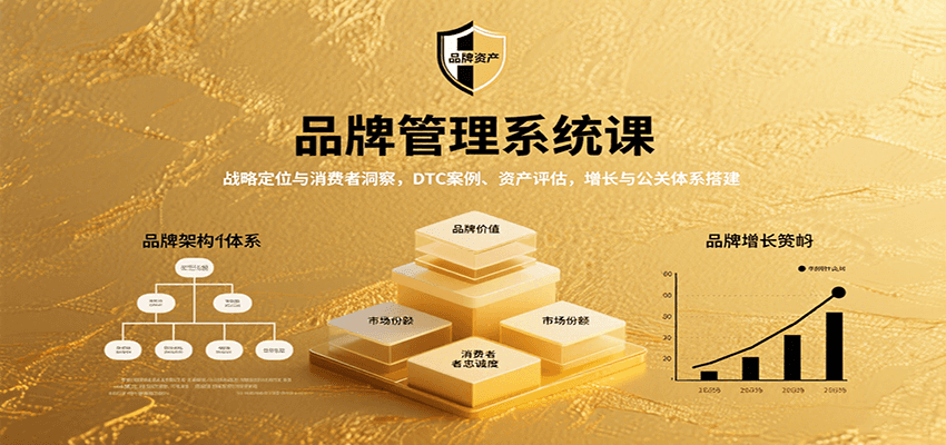 品牌管理系统课：战略定位与消费者洞察，DTC案例、资产评估，增长与公关体系搭建-華夏云创