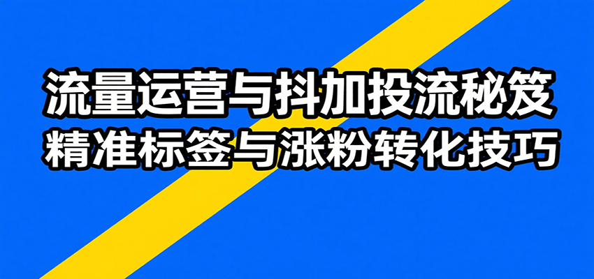 流量运营与抖加投流秘笈，含算法解析、爆款打造、精准标签与涨粉转化技巧-轻创终点站