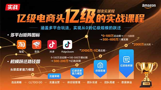 亿级电商头部卖家的实战课程：涵盖多平台玩法，实现从0到亿级规模的跃迁-飞叔云网创