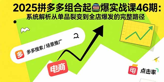 2025拼多多组合起爆实战课46期：系统解析从单品裂变到全店爆发的完整路径-飞叔云网创