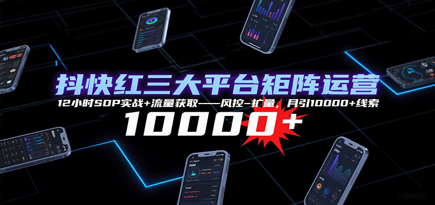 抖快红三大平台矩阵运营，12小时SOP实战+流量获取-风控-扩量，月引10000+线索-青年云网创—高质量项目商城