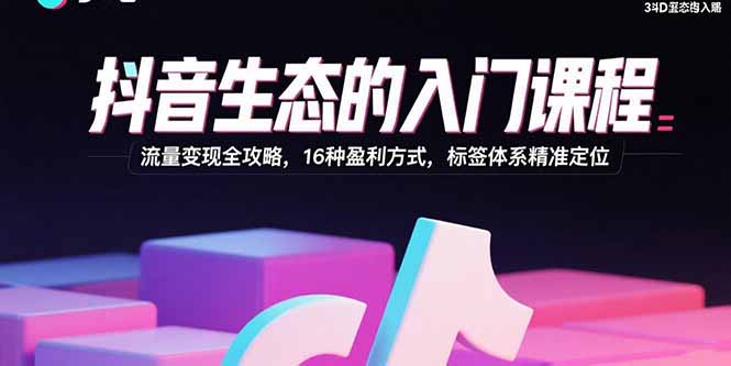 抖音生态的入门课程：流量变现全攻略，16种盈利方式，标签体系精准定位-青年云网创—高质量项目商城