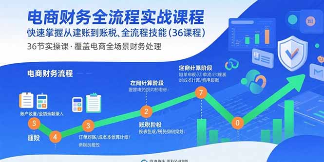 电商财务全流程实战课程：快速掌握从建账到报税的全流程技能（36节课）-星舰联盟