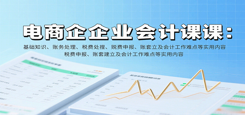 电商企业会计课：基础知识、账务处理、税费申报、账套建立及会计工作难点等实用内容-轻创终点站