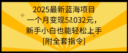 2025最新蓝海项目一个月变现1w+新手小白也能轻松上手【附全套指令】-星舰联盟