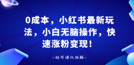 0成本，小红书最新玩法，小白无脑操作，快速涨粉变现-星舰联盟