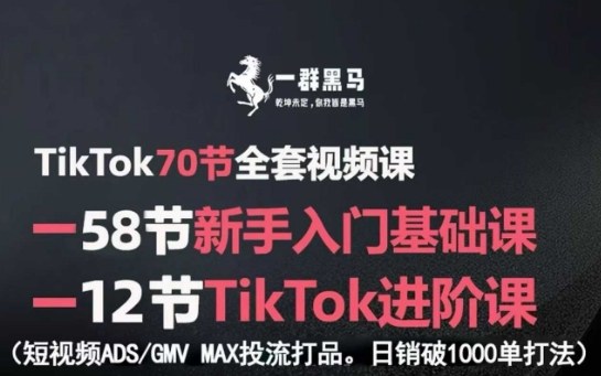 TikTok全套视频课，新手入门+进阶课，短视频ADS-GMV MAX投流打品，日销破1000单打法-test