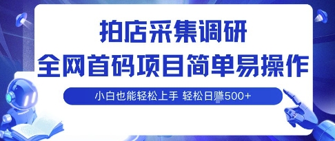 拍店采集调研，全网首码项目，简单易操作， 小白也能轻松上手，多账号操作，轻松日入5张-星舰联盟
