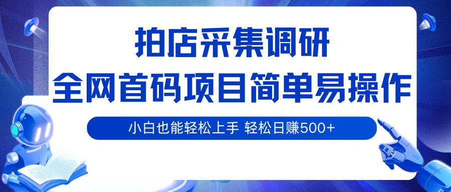 拍店采集调研，全网首码项目，简单易操作， 小白也能轻松上手，轻松日赚500+-飞叔云网创