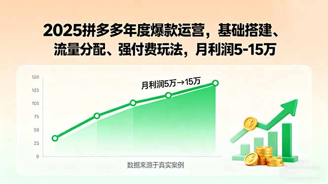 2025拼多多年度爆款运营，基础搭建、流量分配、强付费玩法，月利润5-15万-飞叔云网创