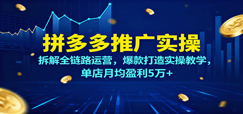 拼多多推广实操，拆解全链路运营，爆款打造实操教学，单店月均盈利5万+-百创网